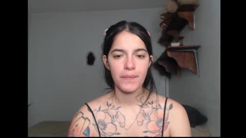 Stella online show from February 20, 2026, 6:26 am