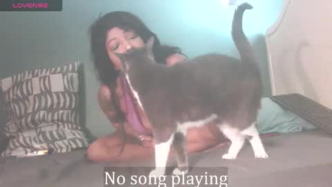 Snapshot of stella_clitella chatting on October 3, 2025, 11:40 am Stella Clitella online show from October 3, 2025, 11:40 am