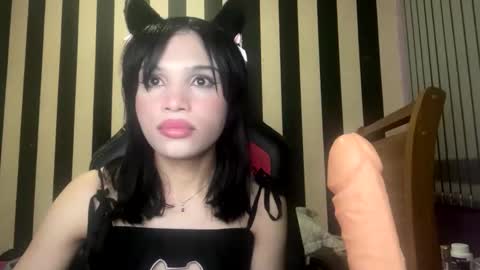 Snapshot of stellapapillon chatting on February 10, 2026, 11:31 pm stellapapillon online show from February 10, 2026, 11:31 pm