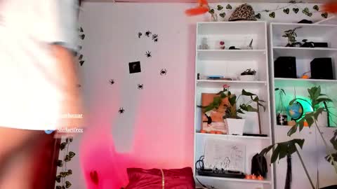 stellart_ online show from November 4, 2025, 2:54 am