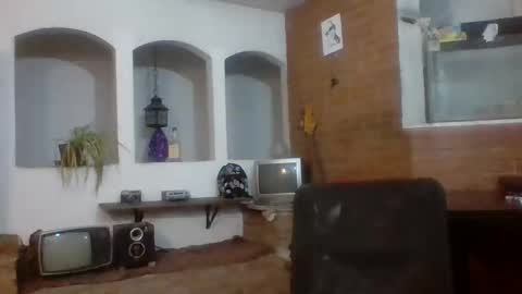 Snapshot of stevenson988 chatting on October 11, 2025, 2:33 am stevenson988 online show from October 11, 2025, 2:33 am