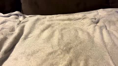 Snapshot of stiffrick682 chatting on January 7, 2025, 12:03 am stiffrick682 online show from January 7, 2025, 12:03 am