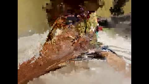 Snapshot of stittymike chatting on December 16, 2024, 5:27 am stittymike online show from December 16, 2024, 5:27 am