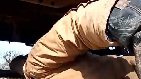 Snapshot of stokely571996 chatting on January 1, 2025, 6:16 pm Oval2022 online show from January 1, 2025, 6:16 pm