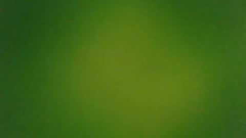 stonedandlovingit online show from March 3, 2025, 1:42 pm