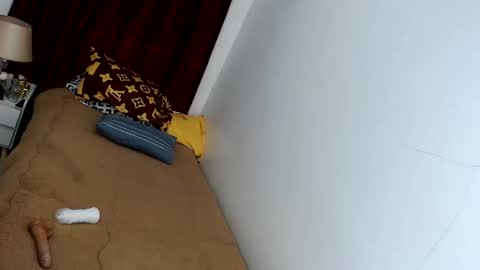 Snapshot of stonehard_sophia chatting on March 11, 2025, 1:48 am Cute Sophia online show from March 11, 2025, 1:48 am