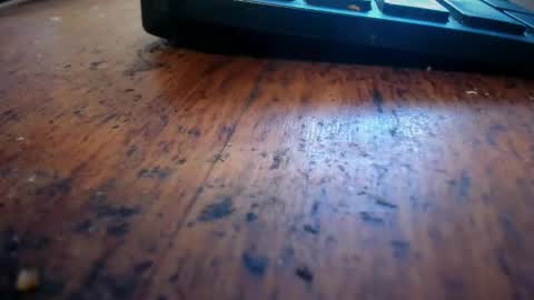 Stoner Dad online show from April 28, 2026, 6:46 pm