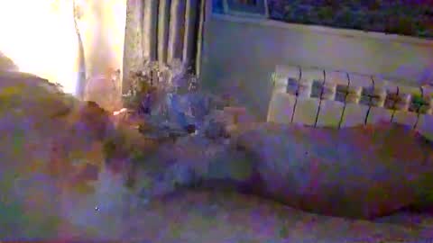 str8guy2015 online show from January 24, 2025, 4:28 pm