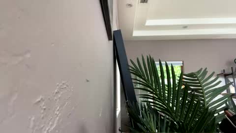 Snapshot of strawbrysugar chatting on December 11, 2024, 5:59 pm Ruby Moon online show from December 11, 2024, 5:59 pm