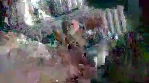 stud_1975 online show from March 2, 2025, 8:05 am