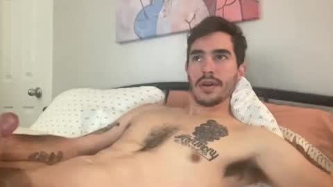 Snapshot of studleydooright420 chatting on December 13, 2024, 8:58 pm studleydooright420 online show from December 13, 2024, 8:58 pm