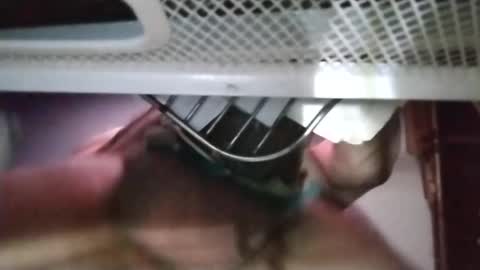 Snapshot of stuffamuffagus69 chatting on November 18, 2025, 1:11 am stuffamuffagus69 online show from November 18, 2025, 1:11 am