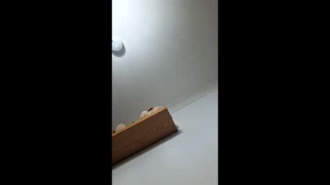 sub199958 online show from December 21, 2025, 5:42 pm