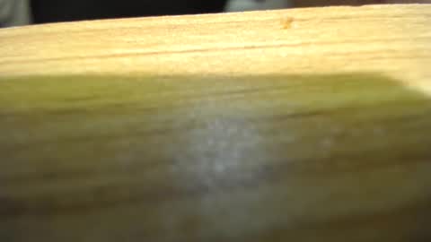 Snapshot of subswichuser00060960 chatting on January 15, 2025, 6:08 pm subswitchuser online show from January 15, 2025, 6:08 pm