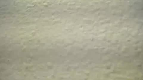 Snapshot of subswichuser00060960 chatting on October 3, 2025, 1:52 pm subswitchuser online show from October 3, 2025, 1:52 pm