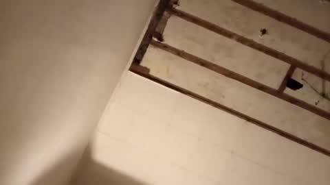 suckmeplease70 online show from November 2, 2025, 7:55 am