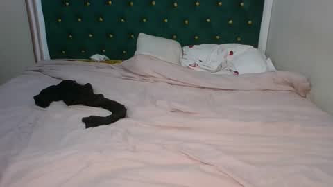 Snapshot of sugarboogers_ chatting on February 12, 2026, 2:50 am sugarboogers_ online show from February 12, 2026, 2:50 am