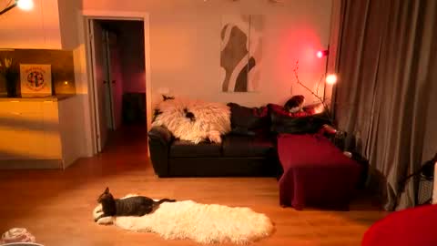 Lika ginger  Jessy blond   online show from April 16, 2026, 2:12 am