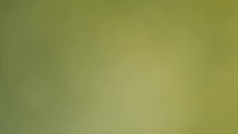 Snapshot of sunshine_days chatting on December 19, 2024, 12:56 am Annie online show from December 19, 2024, 12:56 am