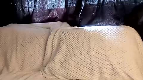 Snapshot of sunshine_days chatting on March 8, 2025, 7:42 pm Annie online show from March 8, 2025, 7:42 pm