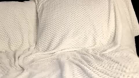 Snapshot of sunshine_days chatting on March 12, 2025, 10:17 pm Annie online show from March 12, 2025, 10:17 pm