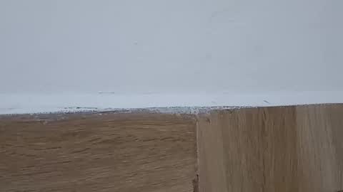 Snapshot of sunshine_days chatting on October 6, 2025, 5:32 pm Annie online show from October 6, 2025, 5:32 pm