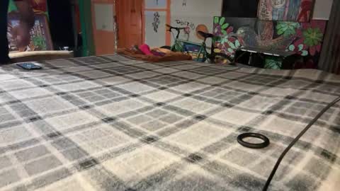 Stony online show from December 2, 2024, 10:07 am