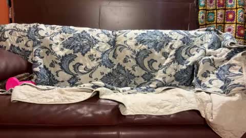 Stony online show from January 14, 2025, 7:48 am