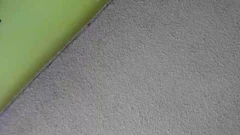 sussan_nasty online show from December 16, 2025, 1:38 pm