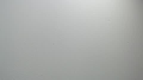 sussy leon online show from February 11, 2025, 12:05 pm