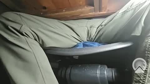 swamp486822 online show from February 5, 2025, 6:13 am