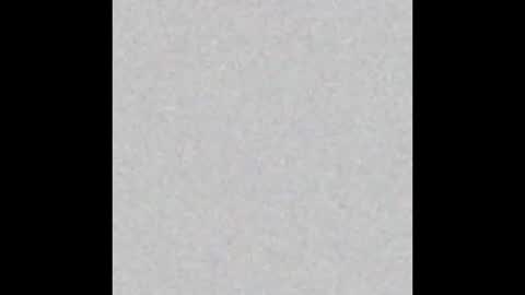 Eva and Tim online show from October 26, 2025, 6:03 pm