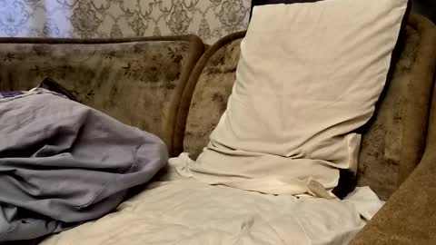 Sweet boy online show from September 21, 2025, 12:40 pm