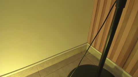 Snapshot of sweet__luna__ chatting on July 14, 2026, 10:54 am sweet__luna__ online show from July 14, 2026, 10:54 am