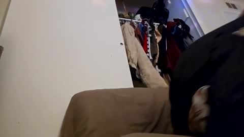 sweetp3ach29 online show from December 16, 2024, 6:53 am