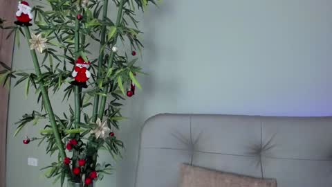 Snapshot of sweett_petite chatting on December 29, 2024, 10:36 pm online show from December 29, 2024, 10:36 pm