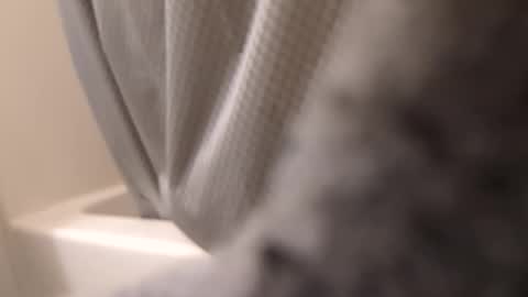 swollpole2112 online show from September 14, 2025, 6:12 am