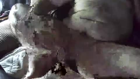 Snapshot of tacozod chatting on January 2, 2025, 10:33 pm tacozod online show from January 2, 2025, 10:33 pm