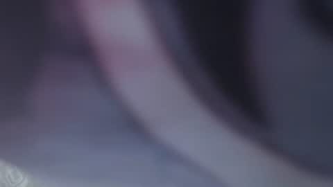 Juli online show from March 1, 2026, 3:47 pm