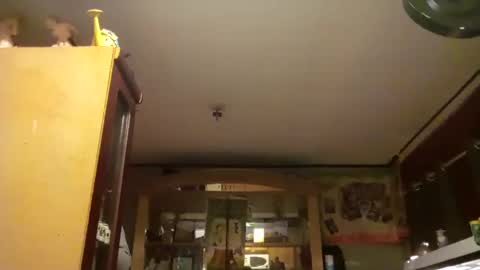 taliban809 online show from February 18, 2025, 8:05 am