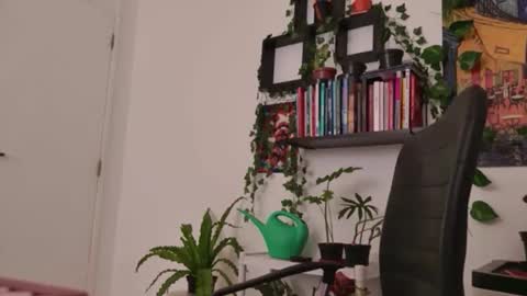 Tali Majid online show from January 6, 2026, 5:33 am