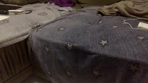 Aligator online show from November 15, 2025, 4:43 am