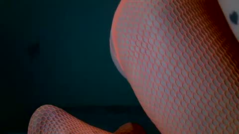 tamesbury online show from March 8, 2026, 2:04 am