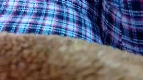 Snapshot of taniya_roy4628 chatting on February 12, 2026, 2:50 am taniya_roy4628 online show from February 12, 2026, 2:50 am