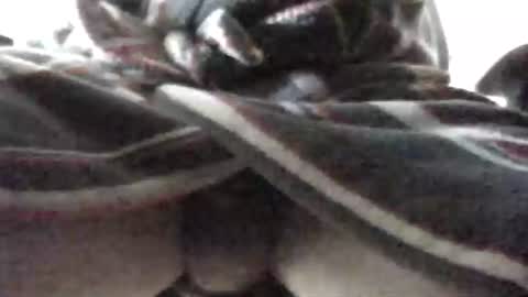 Patrick online show from February 16, 2025, 7:48 am