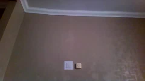 tarasan123 online show from February 17, 2026, 10:12 am