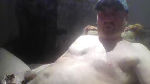 tarzeny77 online show from June 4, 2026, 4:29 am