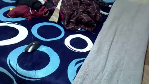 Snapshot of tastie_t chatting on November 1, 2025, 6:04 am tastie_t online show from November 1, 2025, 6:04 am