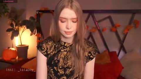 TataCoy online show from November 11, 2025, 11:54 am