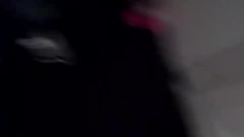 Snapshot of tattednhard6969 chatting on January 5, 2025, 12:42 pm tattednhard6969 online show from January 5, 2025, 12:42 pm